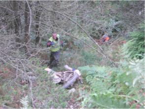 Phil reports that the rider has been found....