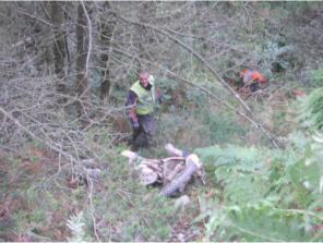 Yes rider has been found and Phil IS NOT LAUGHING !!!!